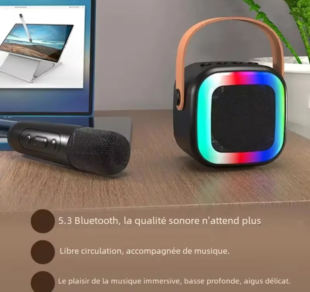 Machine De Karaoké Pour Enfants et Adultes - Bluetooth portable - Voix Chantée Avec  Microphones - Sans Fil et Éclairage